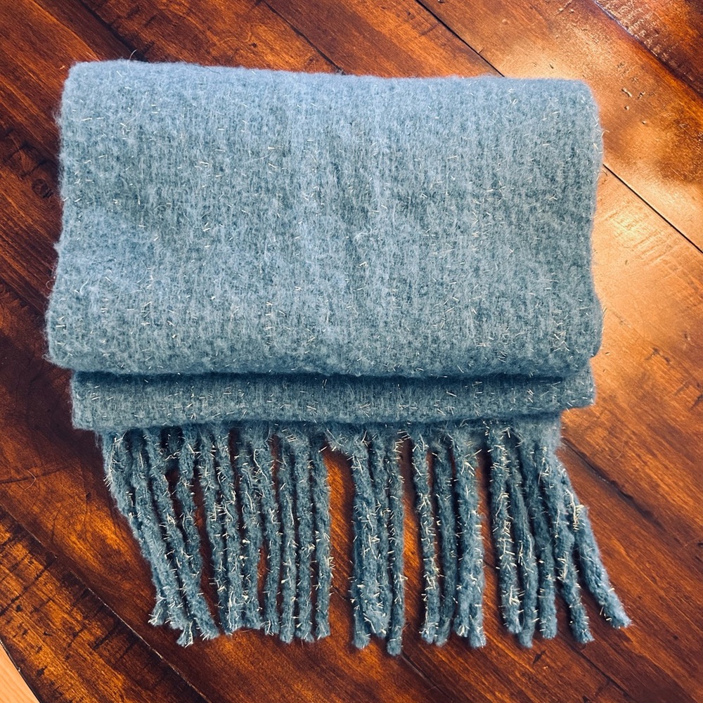 Ann Taylor Teal Knit Scarf with Metallic Accents
